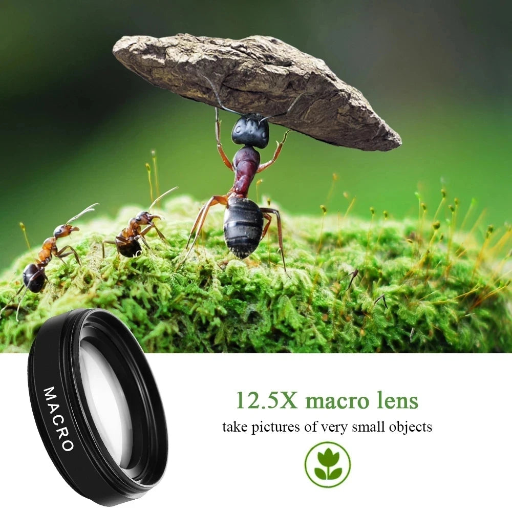 12.5x macro phone lens with close-up ant photo example